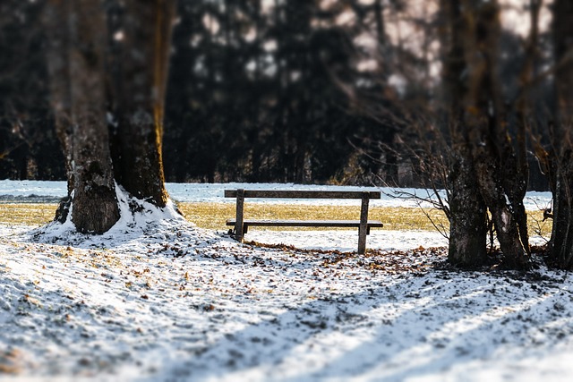 Mesačné stretnutie seniorov 16. 2. 2023