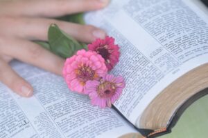 biblia