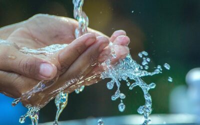 Ako v nás Slovo zreje (Lk 9, 43-45)