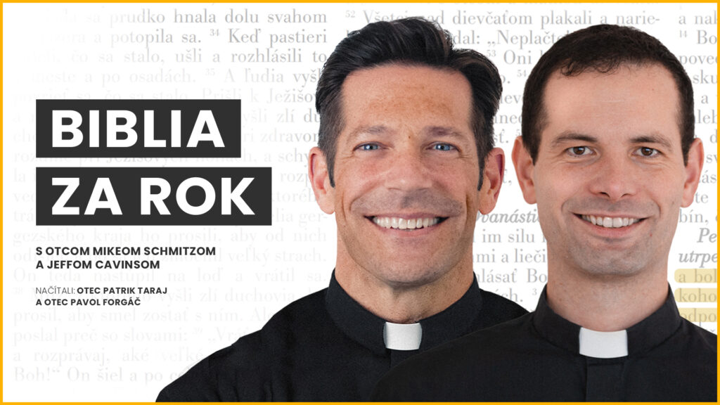 Prečítať Bibliu za rok ušami?